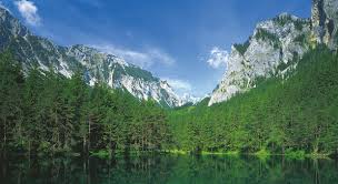 Consulta la nostra lista dei 20 laghi più belli stiria e pianifica la tua prossima avventura! Austria Lo Spettacolo Del Bosco Sommerso In Un Lago Della Stiria
