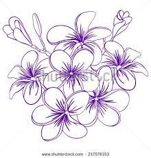 Beautiful Hand Drawn Plumeria Flowers Pretty Cute Sketch Flower Drawing Flower Outline Printable Flower Coloring Pages