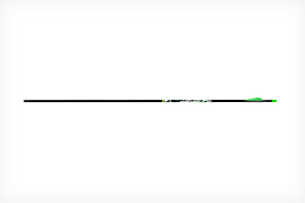 New Arrows And Broadheads For 2021 Petersen S Bowhunting