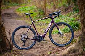 Image result for Orbea paradoxa