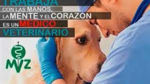 We did not find results for: Feliz Dia Del Medico Veterinario 2018 Youtube