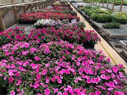 We did not find results for: Lindsley S Greenhouse Home Facebook
