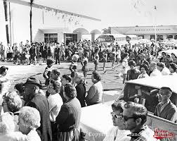 Image result for Pink 1964 Montgomery Ward