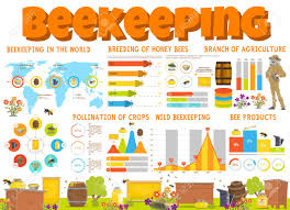 Beekeeping Infographics With Honey Products And Bee Breeding