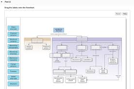 Solved Part A Drag The Labels Onto The Flowchart Reset