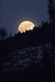 Karenanya disebut super blue blood moon. 290 Ide Bulan Pemandangan Bulan Fotografi Alam