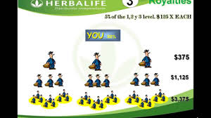 Herbalife Marketing Plan