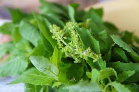It has a more assertive taste than many other sweet basils. Herbs Goffle Brook Farms