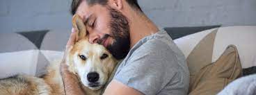 What To Do When Your Dog Dies Purina