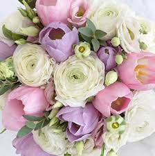 Image result for eustoma maurine