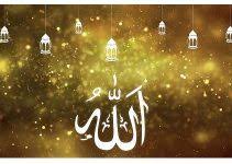 Heart Touching Poem about the Care of Allah towards us « BackToJannah