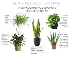 Put Some Plants To Work Harmless Home Plants Best Indoor Plants Best Air Purifying Plants