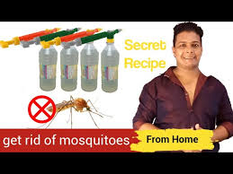 We did not find results for: How To Kill Mosquitoes In Home How To Get Rid Of Mosquitoes 6 Secret Formula Youtube
