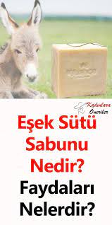 Esek Sutu Sabunu Nedir Faydalari Nelerdir Esek Guzellik Saglik