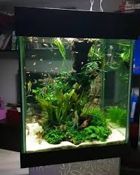 Follow Us On Instagram Aquascaperorg Facebook Facebook Com Aquascaper Org Visit Our Site Www Aquasca Aquarium Fish Tank Decorations Tropical Fish Aquarium