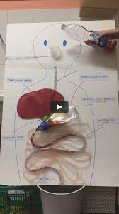 This Is Img 4818 By Scuola Ciari On Vimeo The Home For High Quality Videos And The Peopl Science Projects For Kids Science For Kids Science Experiments Kids
