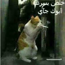 مضحكتنا مطابع الشروق الحديثة Pages Directory