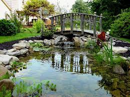 Pin Di Acorn Ponds Waterfalls Su Ponds Rochester Ny Backyard Ponds Fish Ponds Koi Ponds Waterfall Ponds By Acorn 585 442 6373 Laghetto