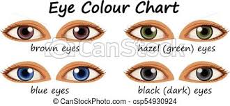 Human Eyes With Different Colors