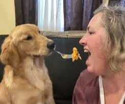 Thank you Culver's for providing lunch today