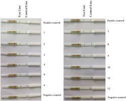 Lateral flow tests are immunoassays for detecting food pathogens with the ultimate convenience. A Recombinase Polymerase Amplification Lateral Flow Dipstick Assay For Rapid Detection Of The Quarantine Citrus Pathogen In China Phytophthora Hibernalis Peerj