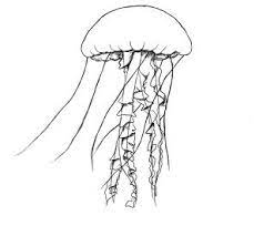 We did not find results for: Pin On Drawing