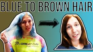 And now that my hair turns. How To Go From Blue Hair To Brown Hair At Home Deluded Rambling
