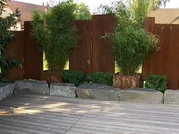 Die heißesten sommertage stehen immer noch vor uns. Sichtschutz Garten Garten Pflanzen Pflanzen