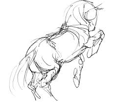 Horse Sketch Horse Sketch Horse Drawings Animal Art