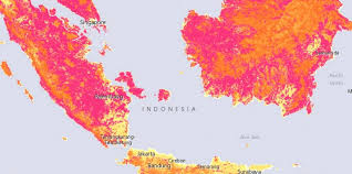We did not find results for: Satu Peta Bagi Masa Depan Yang Lebih Baik Konferensi Bentang Alam Cifor Forests News