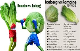 Which Is Better For You Iceberg Or Romaine Lettuce Lettuce Types Of Lettuce Head Of Lettuce