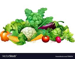 Different Kind Of Vegetables Download A Free Preview Or High Quality Adobe Illustrator Ai Eps Pdf And Vegetable Illustration Kinds Of Vegetables Vegetables
