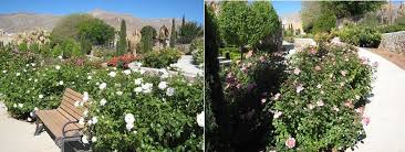 This is the city of el paso parks and recreation department phone number. Virtual El Paso El Paso Municipal Rose Garden