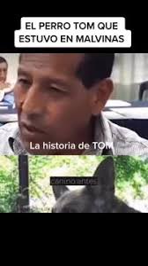 Tom, el perro callejero que fue a Malvinas y murió como un héroe