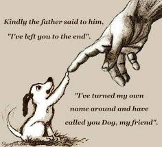 Dog Is God Spelled Backwards Dog Quotes Dog Poems Dog Quotes Love