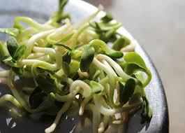 Rinsing thoroughly and then draining as much water as possible are key components to growing great sprouts. What Is Fenugreek Seed Lymph Cleanser And Testosterone Booster