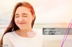 59,362 Sandy Southern Stock Photos, High-Res Pictures, and Images