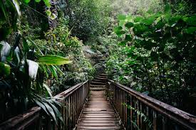 Terre D Eden Paysage Reunion Paysage Incroyable Terre Agricole