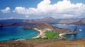 Welcome to galapagos conservancy, the only u.s. Galapagos Wildlife Spared In Oil Spill News Dw 24 12 2019