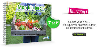 Farine Sans Gluten Laquelle Choisir Pour Quel Usage