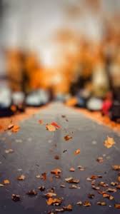Cute Fall Wallpapers Free Cute Fall Wallpaper Download Wallpapertip Use wallpapers on your phone, desktop background, website and more. cute fall wallpapers free cute fall