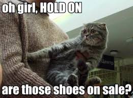 Black Friday Cat Memes So Accurate It ...