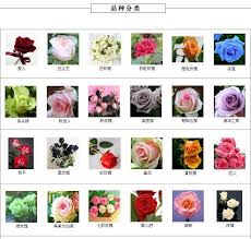 October 2, 1869 birth place: Pictures Of Flowers With Names In Hindi