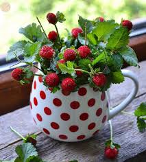 For My Own Pleasure Flower Arrangements Simple Strawberry Fall Garden Vegetables