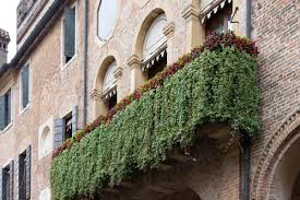 Beim sichtschutz auf dem balkon sind die weidenmatten in ihrem schönen naturton ein nach regen und wind stellen sich die farnwedel. Windschutz Fur Balkon Und Terrasse Typen Preise Und Hersteller Gartenlexikon De