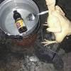 Resepi ayam masak kicap berkuah kali ini, resepi yang berkuah pula. Https Encrypted Tbn0 Gstatic Com Images Q Tbn And9gcsebuikei7iv Euxyaagvgrrd Kl65at4u0ci2njbcvad6mvs2 Usqp Cau