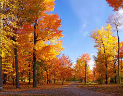 Autumn words in Russian