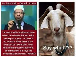 images?q=tbn:ANd9GcSEBZHyFRRT31UBgzfMdGA