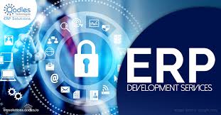 Erp Software Development Services Custom Erp Software Services Software Development Sales And Marketing Business Process