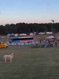 Image result for Dark Candy Ruby 1990 Motorcycle